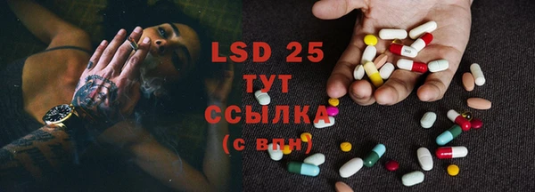 прущие грибы Лабытнанги