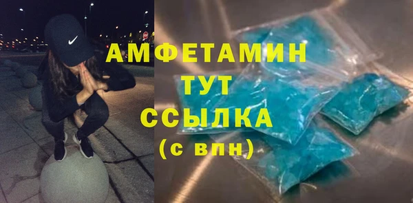 прущие грибы Лабытнанги