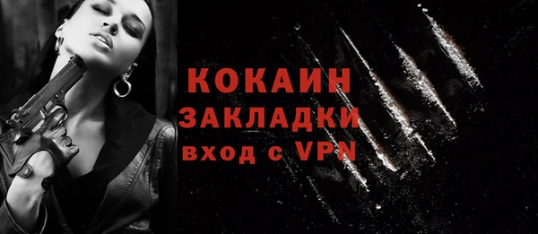прущие грибы Лабытнанги