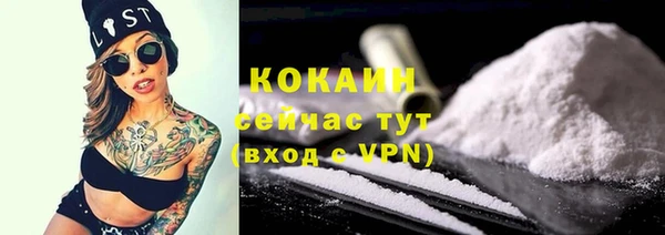 прущие грибы Лабытнанги