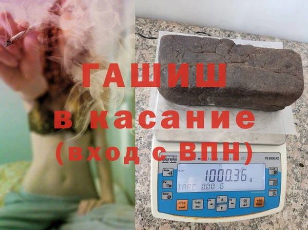прущие грибы Лабытнанги