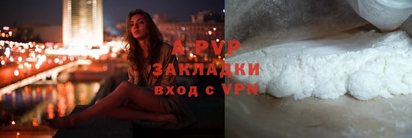 прущие грибы Лабытнанги