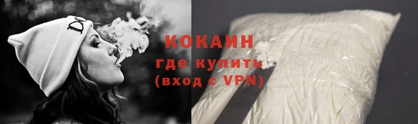 прущие грибы Лабытнанги