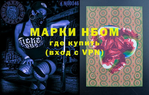 прущие грибы Лабытнанги