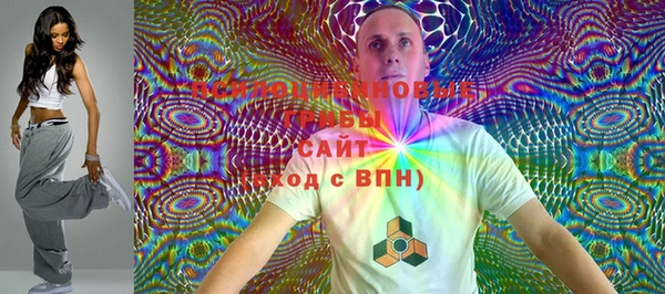 прущие грибы Лабытнанги