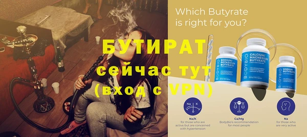 прущие грибы Лабытнанги