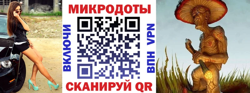 Купить закладки Заинск Галлюциногенные грибы Psilocybe